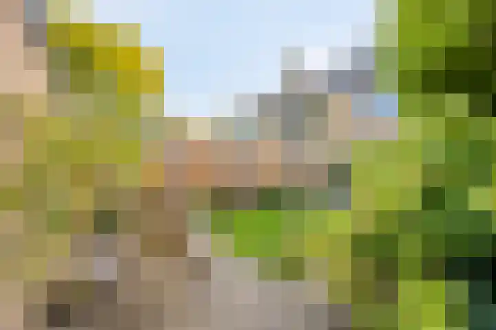 Schrijnwerkerstraat 25 Breda thumbnail 33