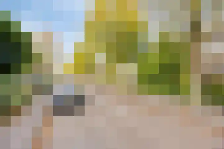 Schrijnwerkerstraat 25 Breda thumbnail 34