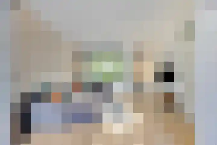 Schrijnwerkerstraat 25 Breda thumbnail 8