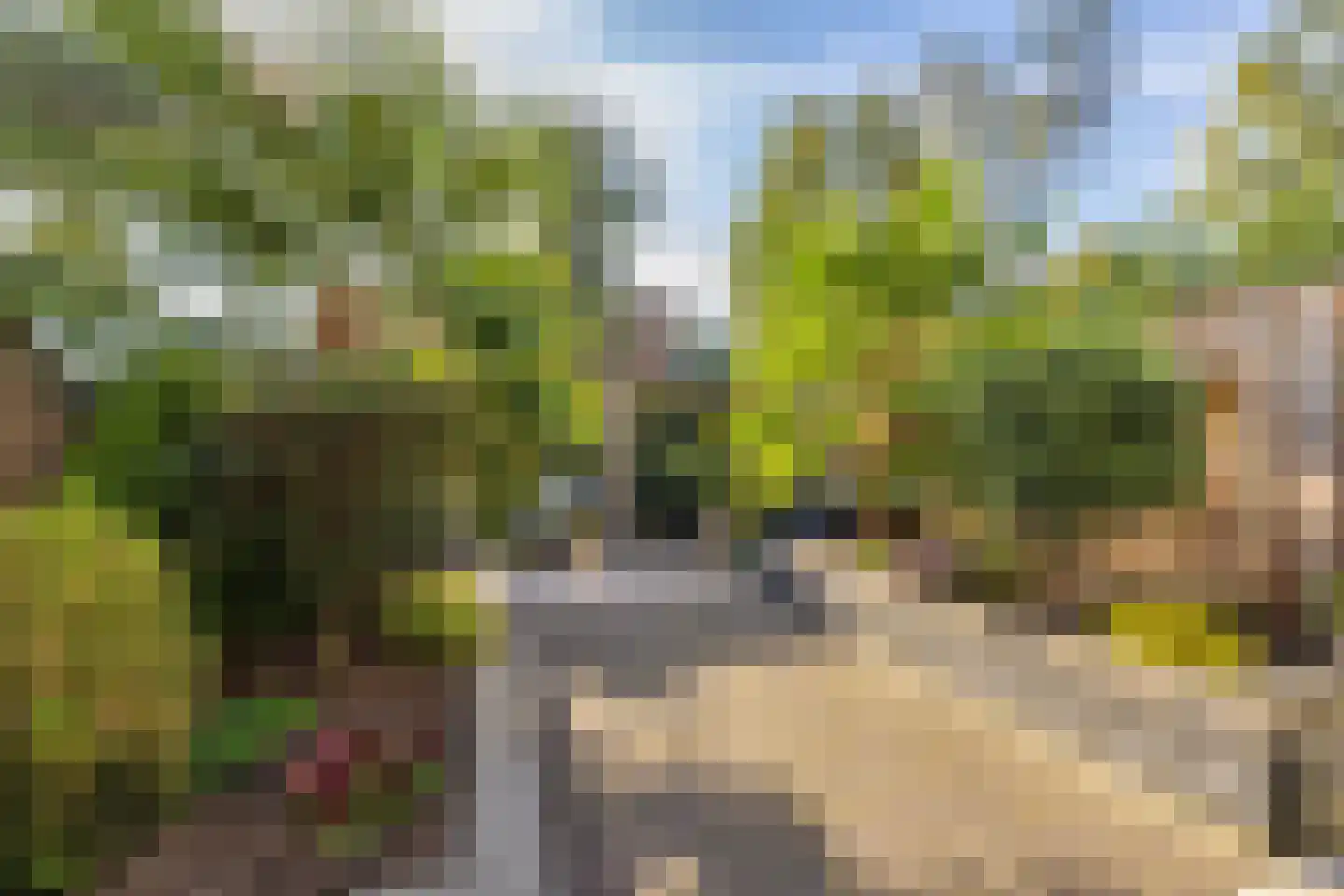 Schrijnwerkerstraat 41 Schiedam thumbnail 19