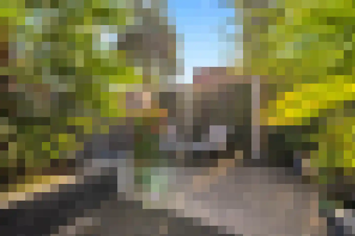 Schrijnwerkerstraat 41 Schiedam thumbnail 20