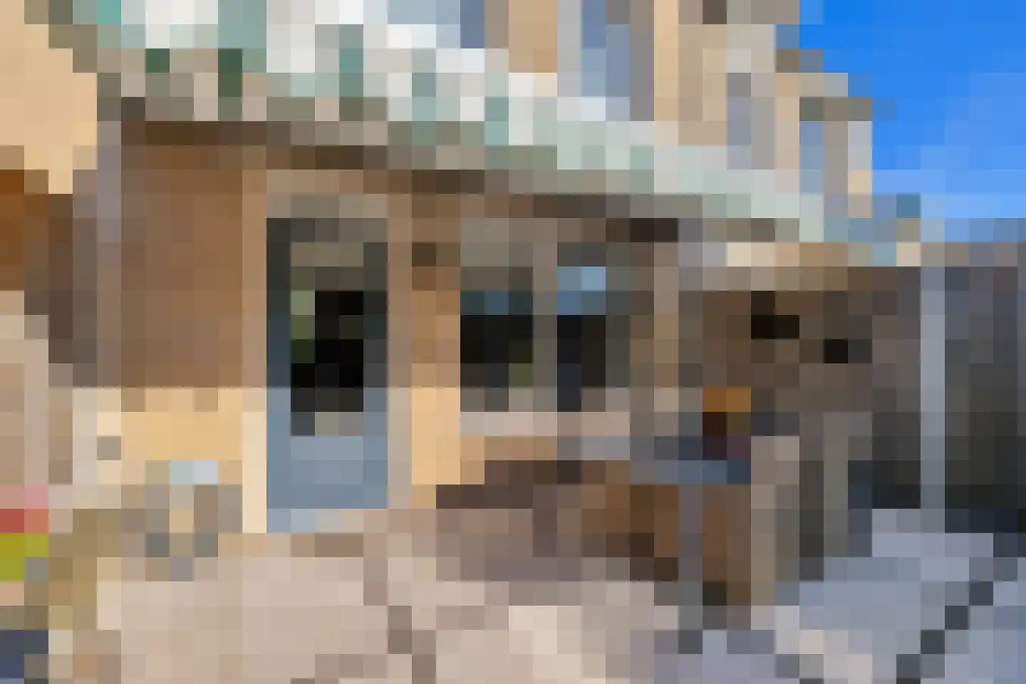 Schrijnwerkerstraat 41 Schiedam thumbnail 23