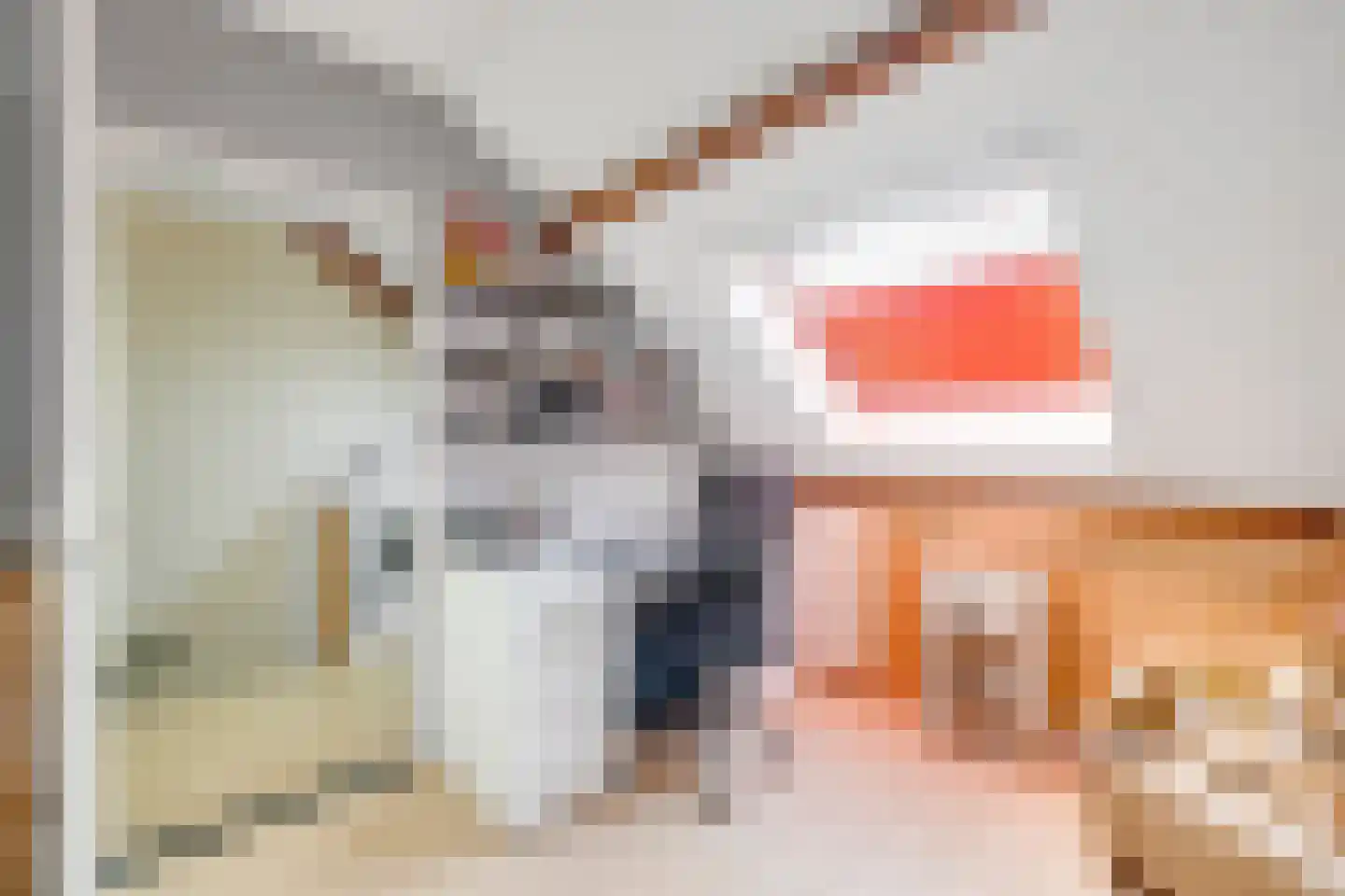 Schrijnwerkerstraat 41 Schiedam thumbnail 37