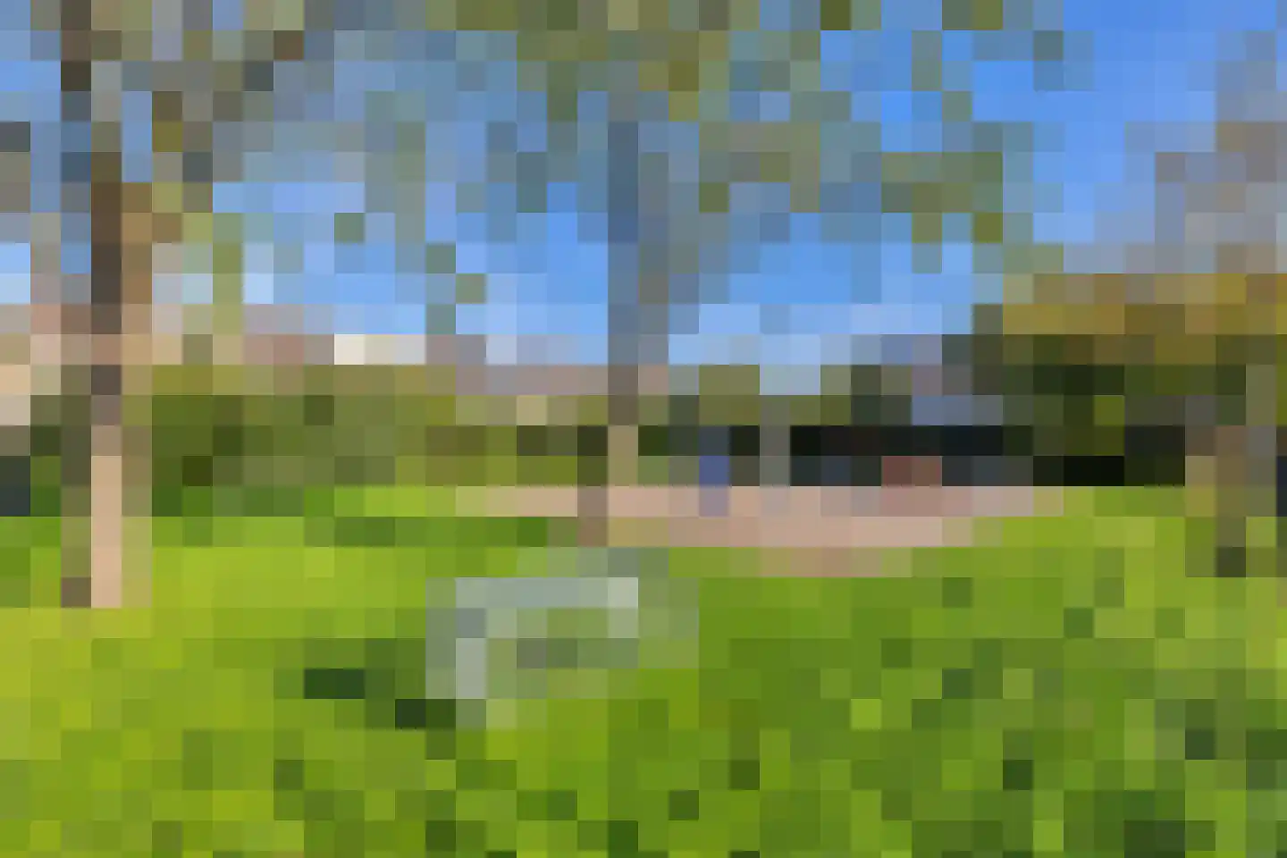 Schrijnwerkerstraat 41 Schiedam thumbnail 41