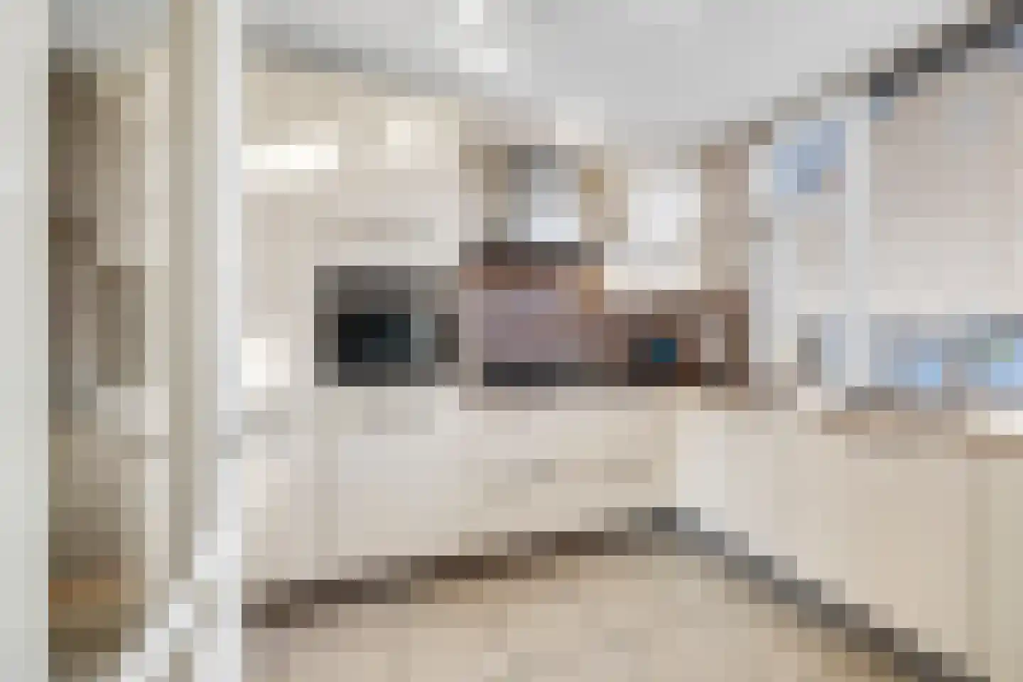 Schrijnwerkerstraat 41 Schiedam thumbnail 5