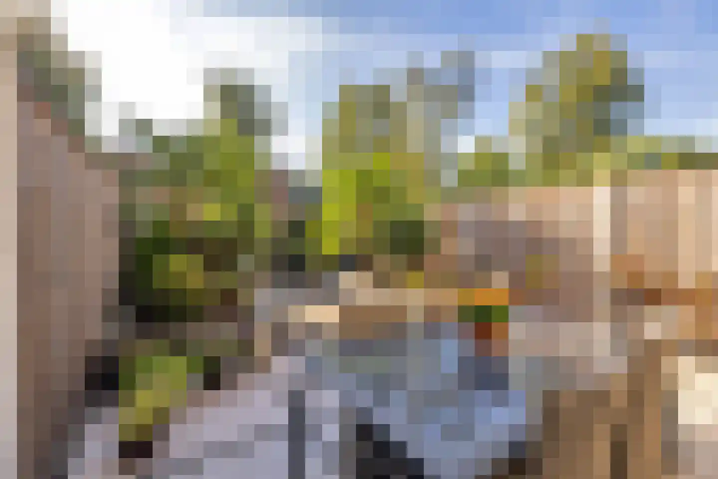 Schrijnwerkerstraat 41 Schiedam thumbnail 7