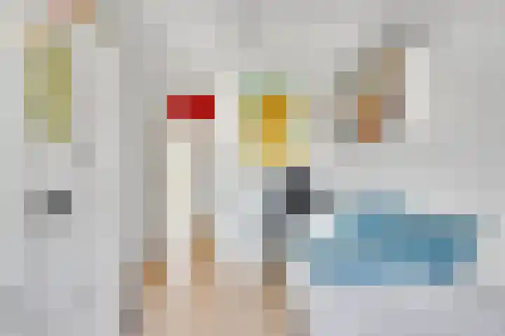Schrijnwerkerstraat 77 Schiedam thumbnail 34