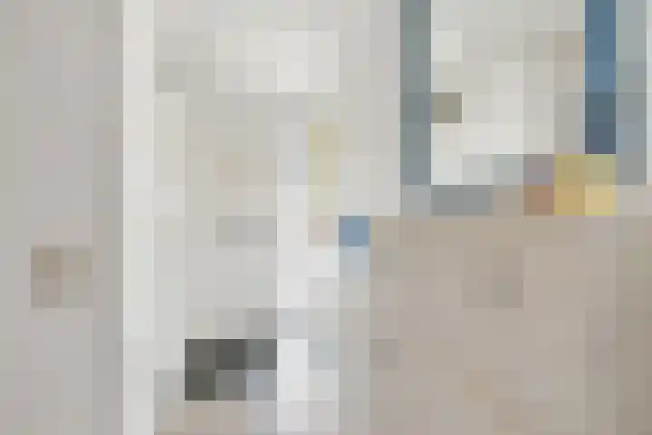 Schrijnwerkerstraat 77 Schiedam thumbnail 8