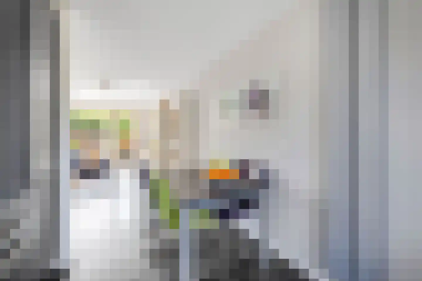 Schrijnwerkerstraat 84 Schiedam thumbnail 20