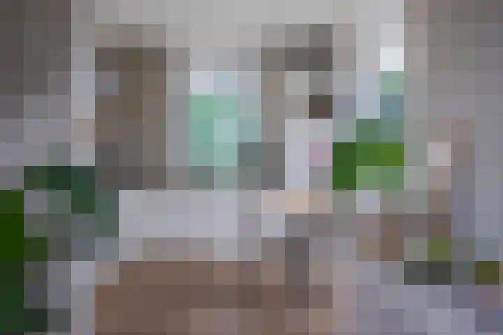 Schrijnwerkersveste 1 Arnhem thumbnail 10