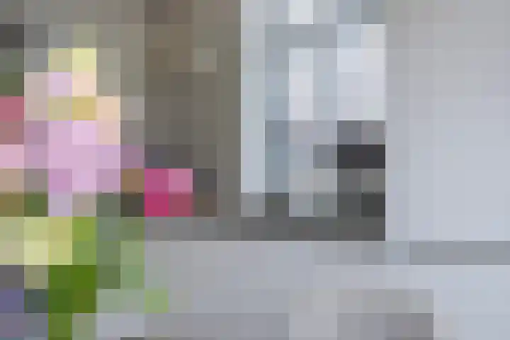 Schrijnwerkersveste 1 Arnhem thumbnail 12