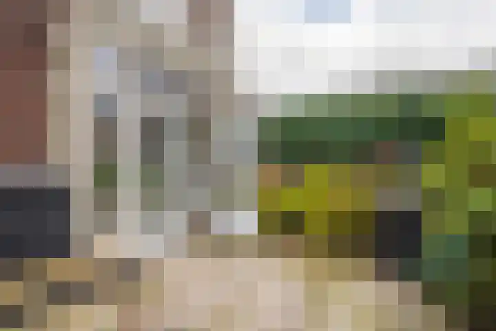 Schrijnwerkersveste 1 Arnhem thumbnail 14