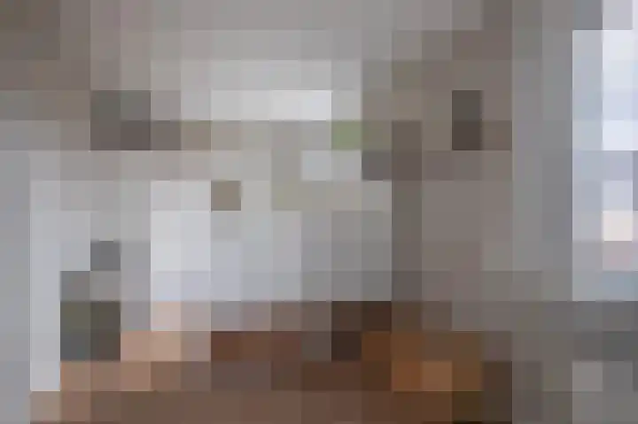 Schrijnwerkersveste 1 Arnhem thumbnail 22