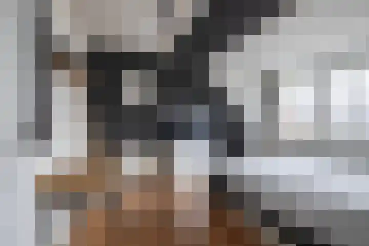 Schrijnwerkersveste 1 Arnhem thumbnail 24