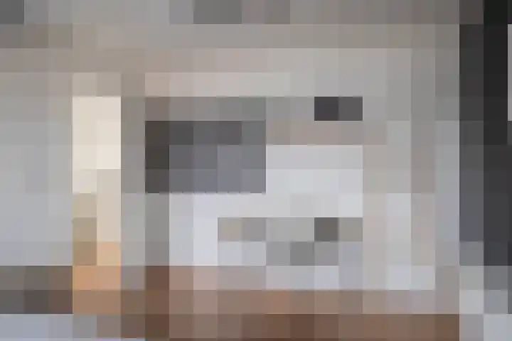Schrijnwerkersveste 1 Arnhem thumbnail 26