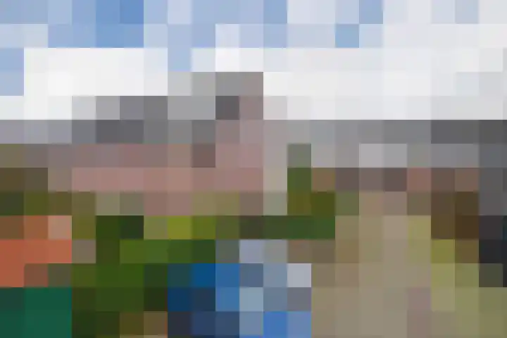 Schrijnwerkersveste 1 Arnhem thumbnail 32