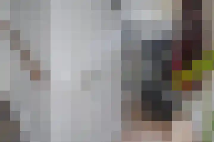 Schrijnwerkersveste 1 Arnhem thumbnail 6