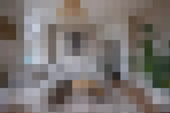 Schrijnwerkersveste 1 Arnhem thumbnail 8