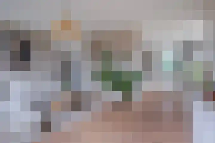 Schrijnwerkersveste 1 Arnhem thumbnail 9