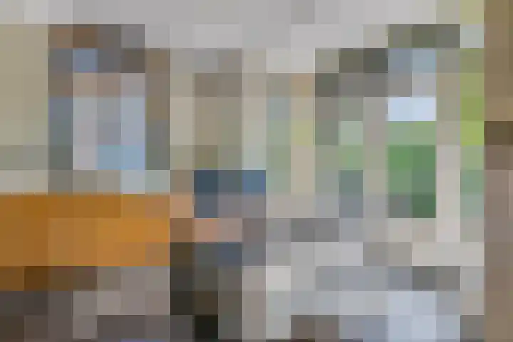 Schrijnwerkersveste 34 Arnhem thumbnail 12