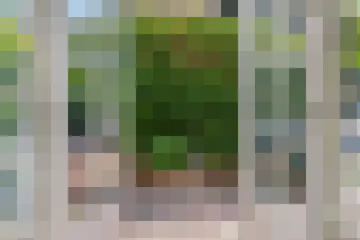 Schrijnwerkersveste 34 Arnhem thumbnail 15