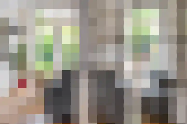 Schrijnwerkersveste 34 Arnhem thumbnail 18