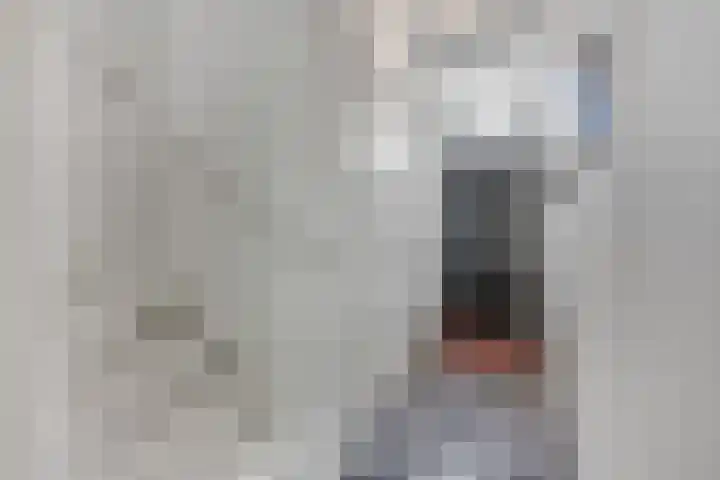 Schrijnwerkersveste 34 Arnhem thumbnail 20