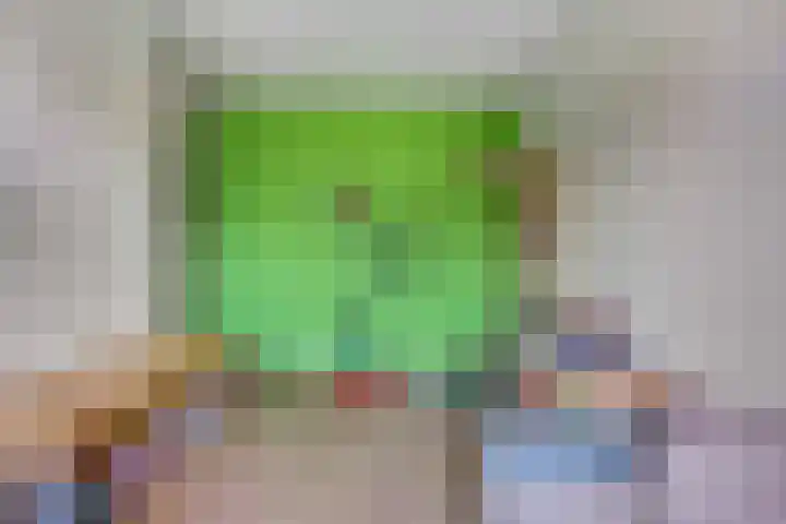 Schrijnwerkersveste 34 Arnhem thumbnail 24