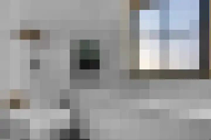 Schrijnwerkersveste 34 Arnhem thumbnail 27