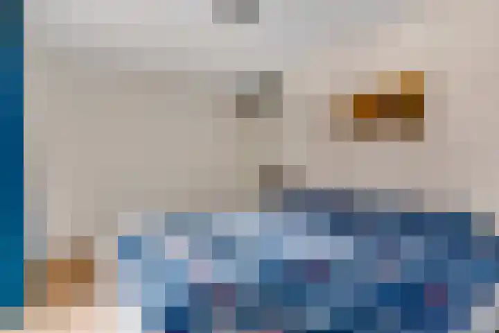 Schrijnwerkersveste 34 Arnhem thumbnail 29