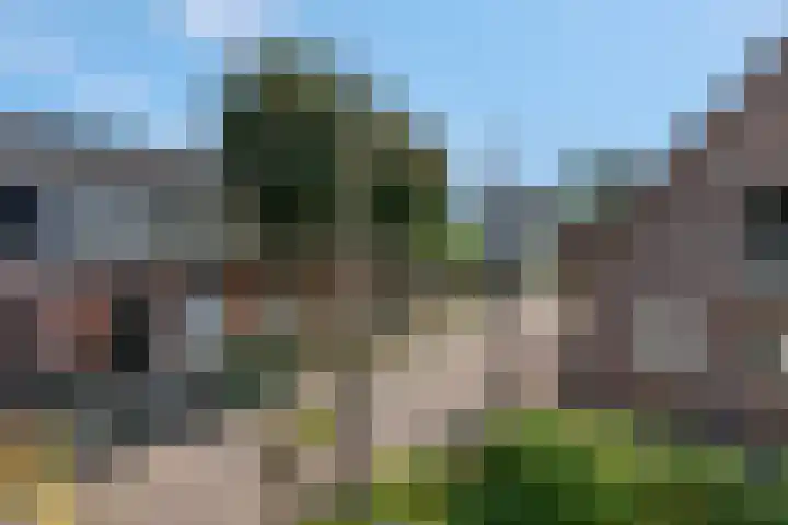 Schrijnwerkersveste 34 Arnhem thumbnail 33
