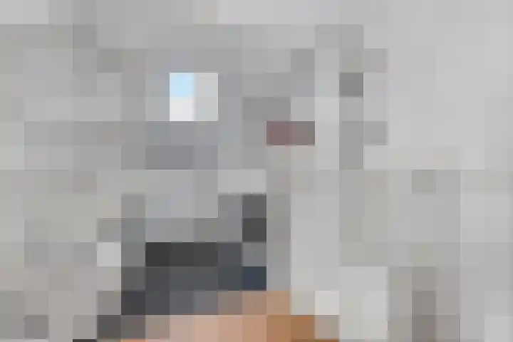 Schrijnwerkersveste 34 Arnhem thumbnail 34