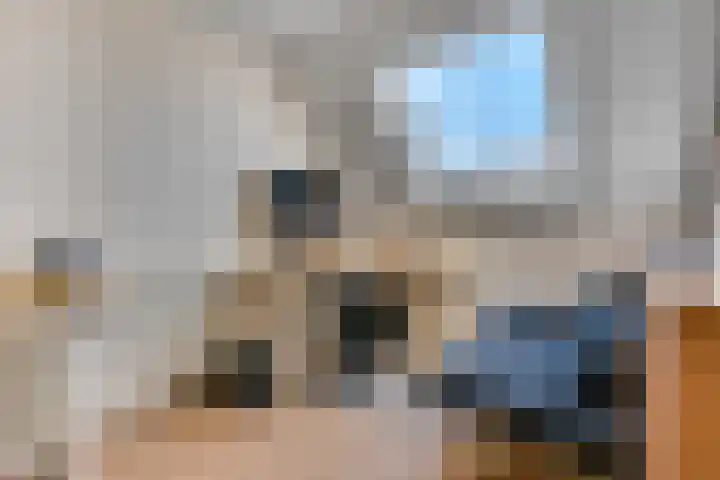 Schrijnwerkersveste 34 Arnhem thumbnail 35