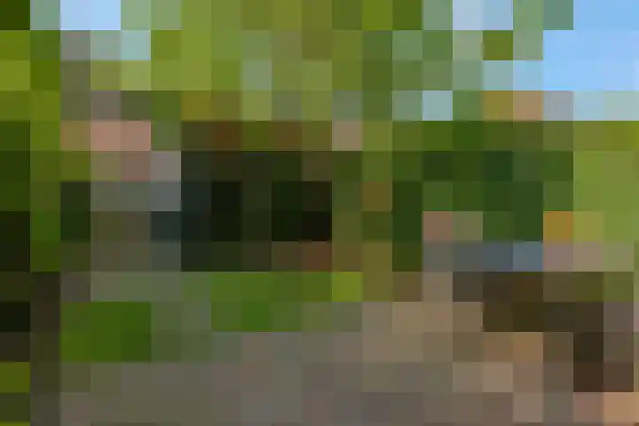 Schrijnwerkersveste 34 Arnhem thumbnail 37