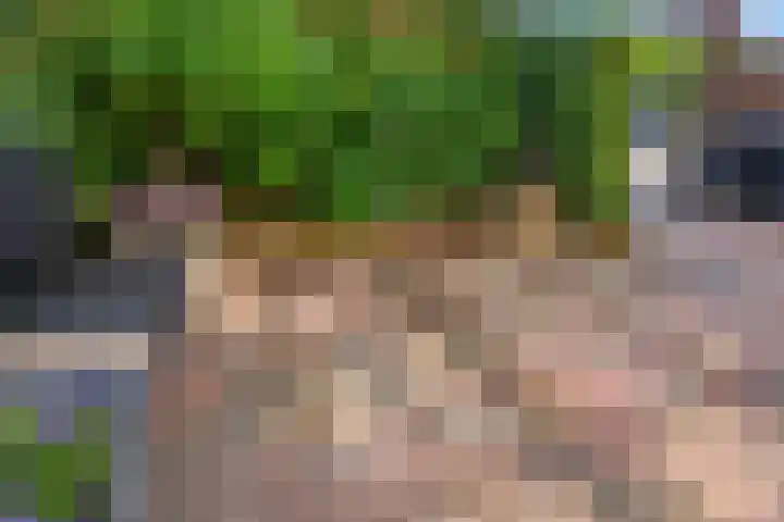 Schrijnwerkersveste 34 Arnhem thumbnail 38