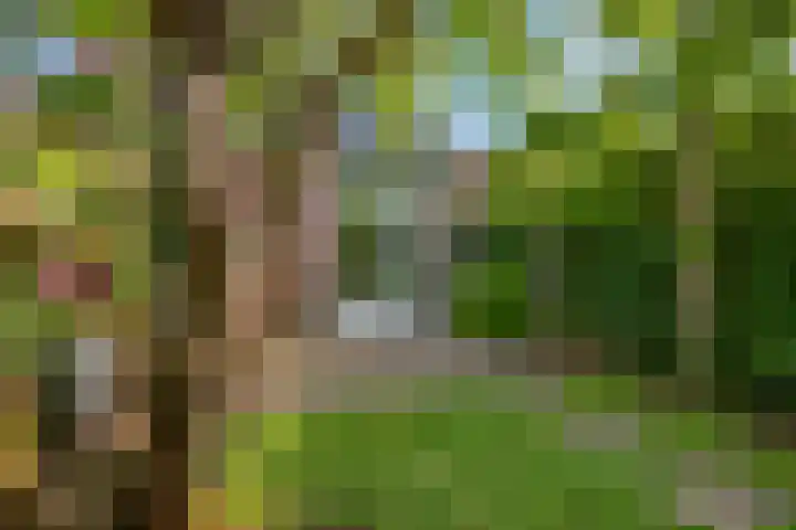 Schrijnwerkersveste 34 Arnhem thumbnail 39