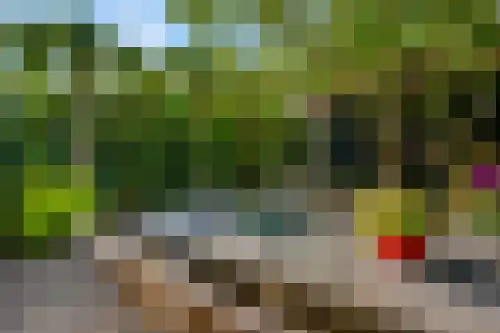 Schrijnwerkersveste 34 Arnhem thumbnail 40