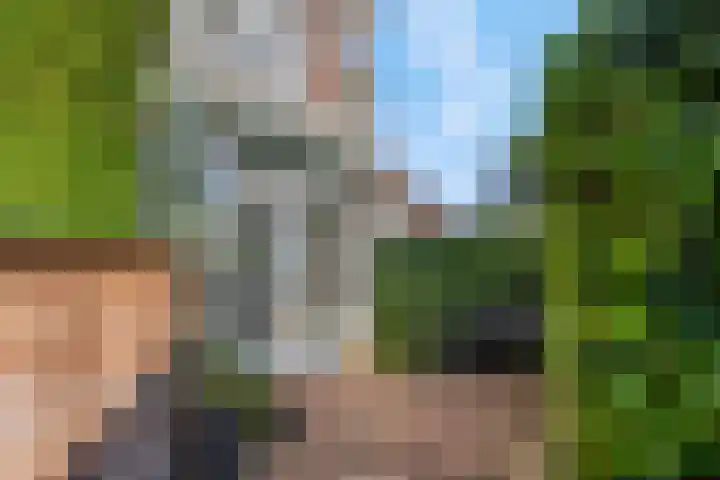 Schrijnwerkersveste 34 Arnhem thumbnail 41