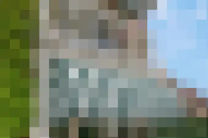 Schrijnwerkersveste 34 Arnhem thumbnail 45
