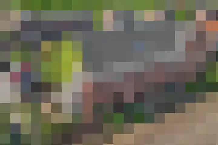 Schrijnwerkersveste 34 Arnhem thumbnail 46