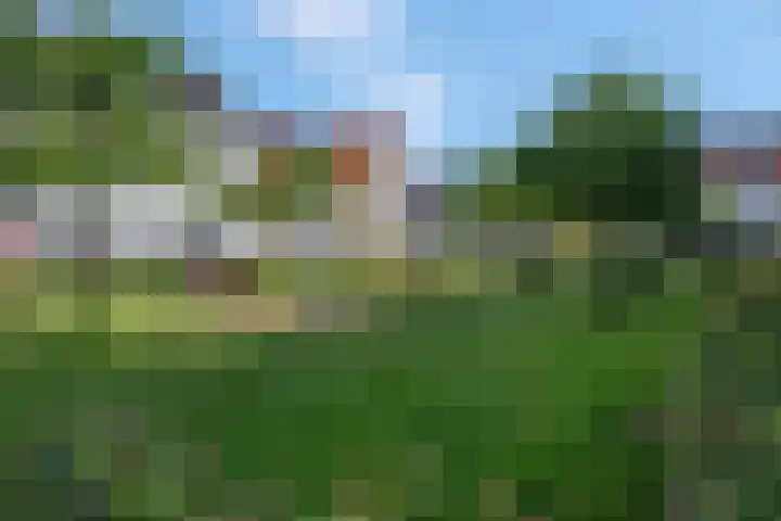 Schrijnwerkersveste 34 Arnhem thumbnail 47