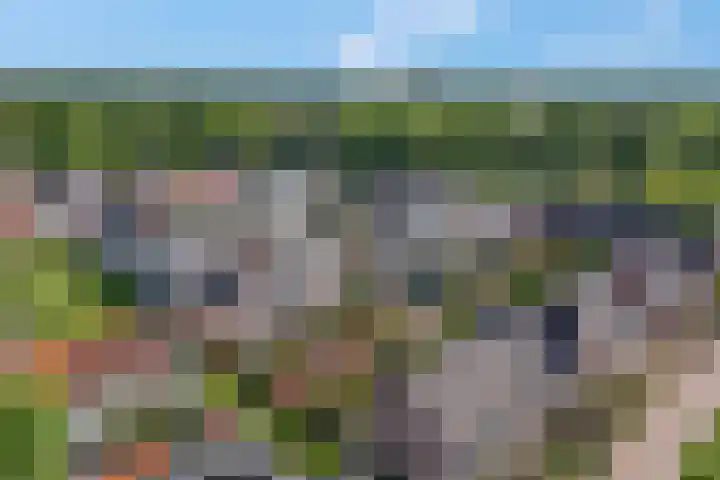 Schrijnwerkersveste 34 Arnhem thumbnail 48