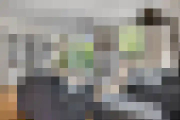 Schrijnwerkersveste 34 Arnhem thumbnail 7