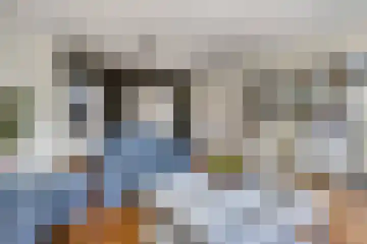 Schrijnwerkersveste 34 Arnhem thumbnail 8