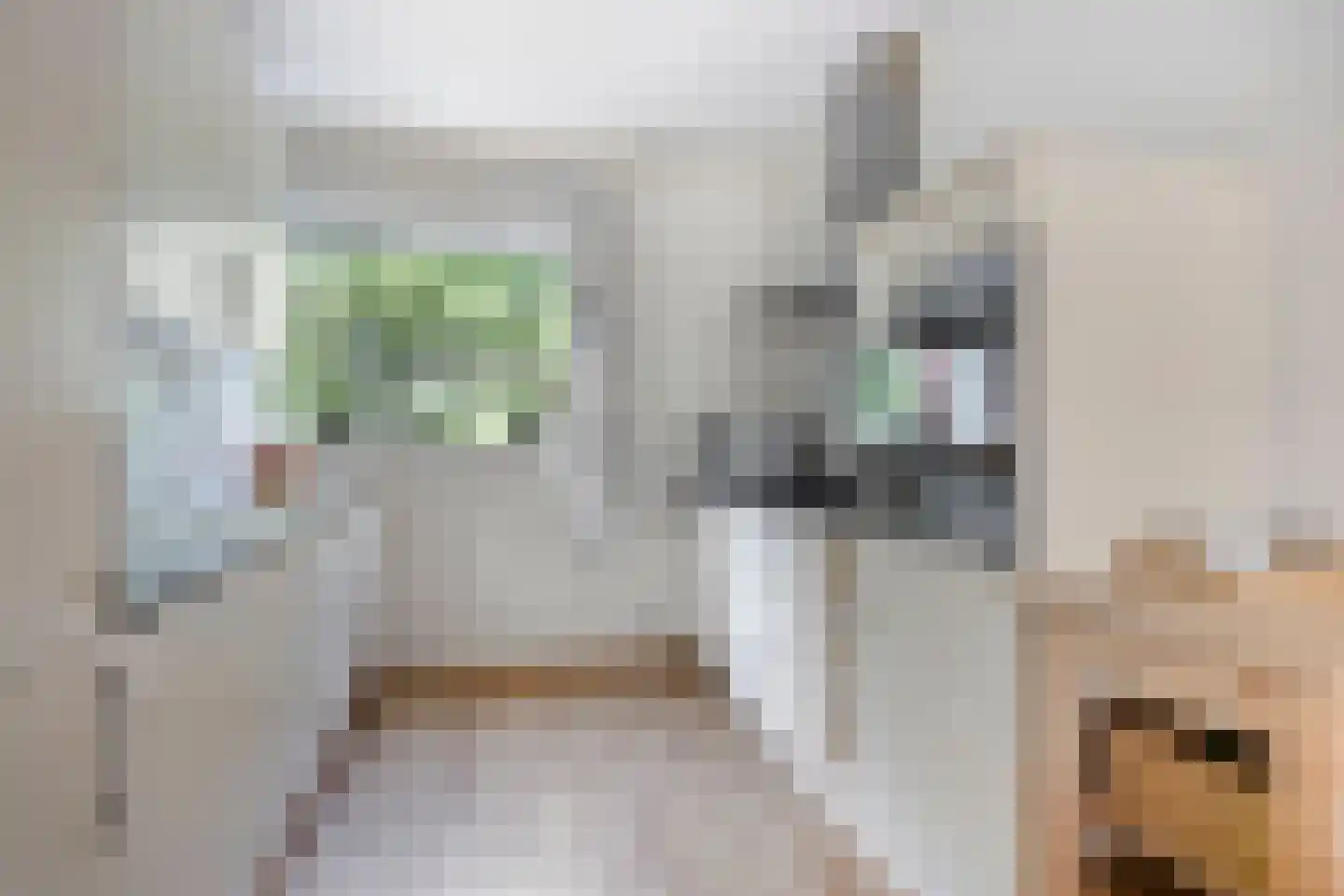 Schrijverhof 7 Amersfoort thumbnail 13