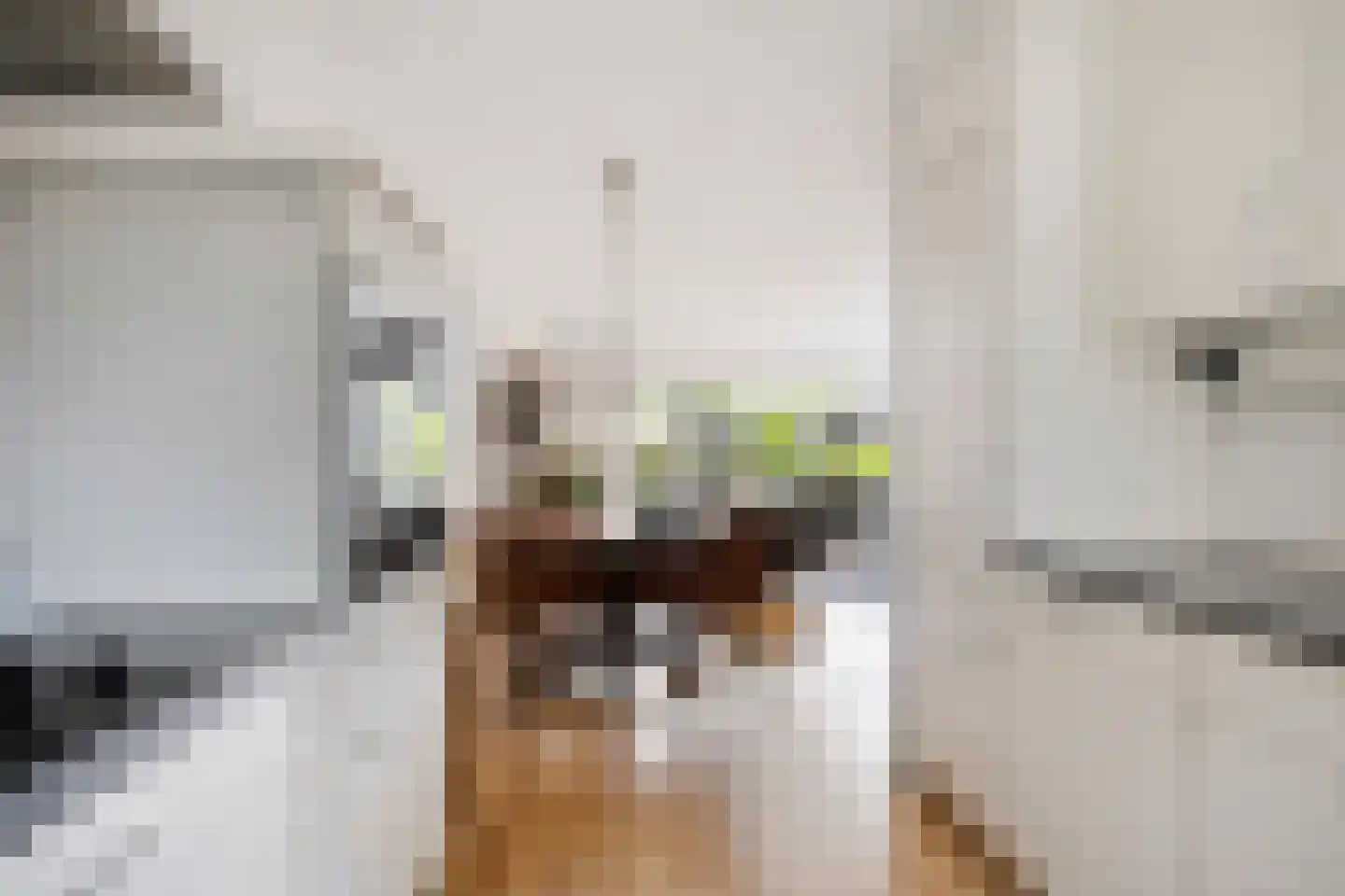 Schrijverhof 7 Amersfoort thumbnail 15