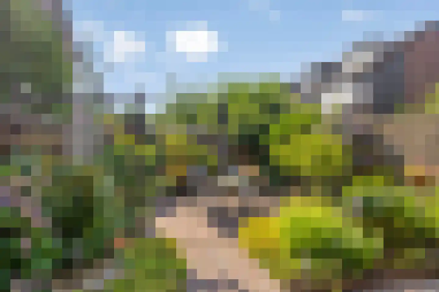 Schrijverhof 7 Amersfoort thumbnail 5