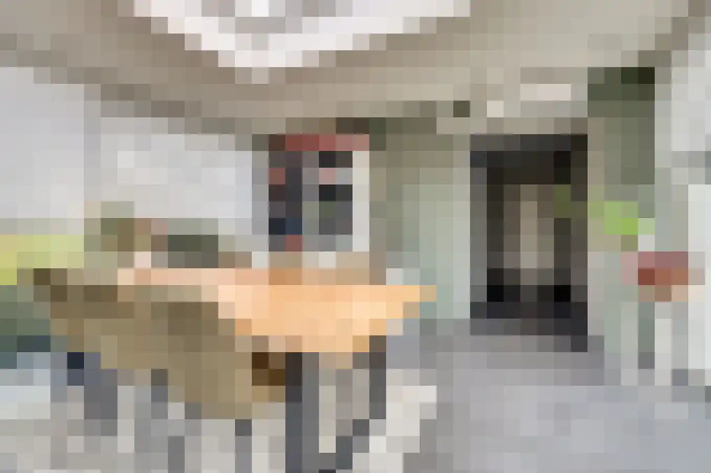 Schrijversdijk 4 a Brielle thumbnail 10