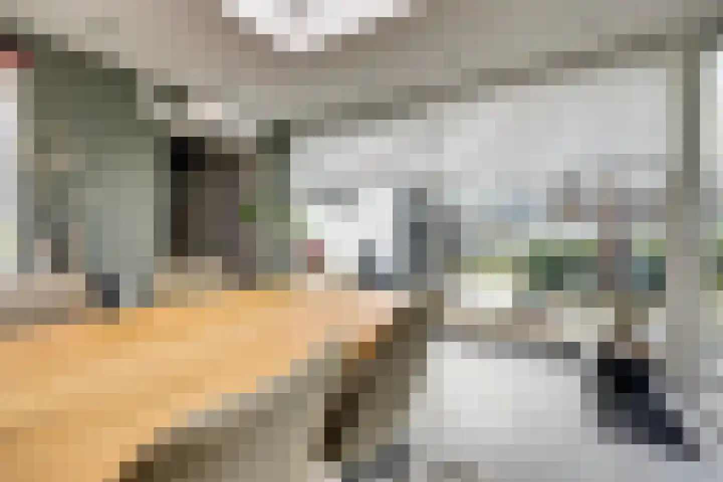 Schrijversdijk 4 a Brielle thumbnail 11