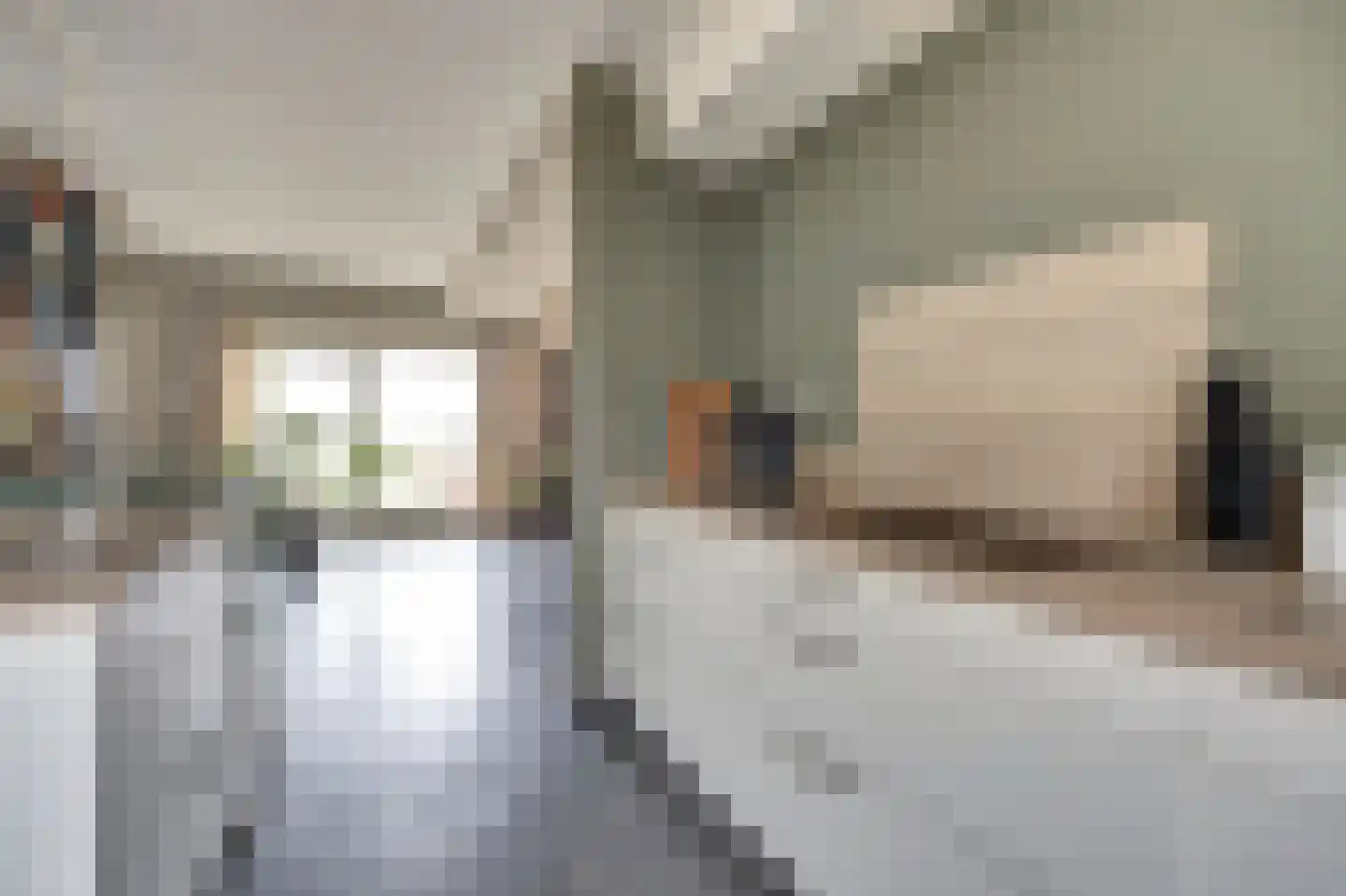 Schrijversdijk 4 a Brielle thumbnail 16